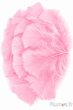 Kalkoen - 6-8 cm - tedere roos
